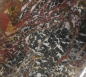 Preview: Slab Indo Jasper